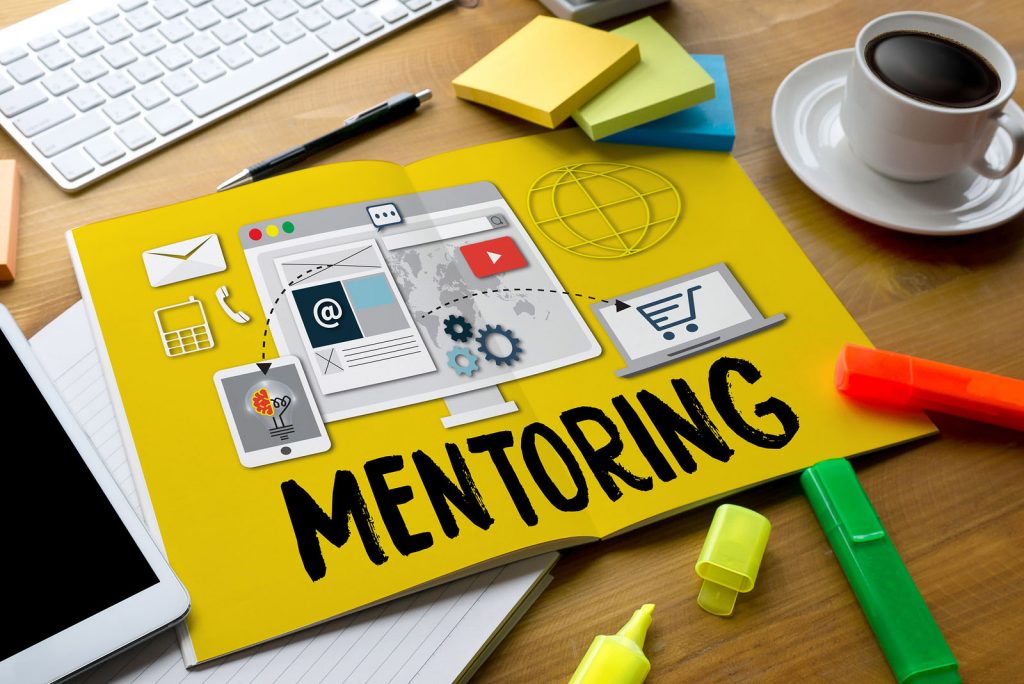 how to work with a mentor