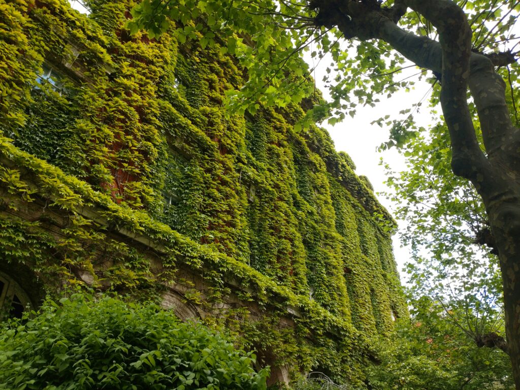 A tall building covered in green plants