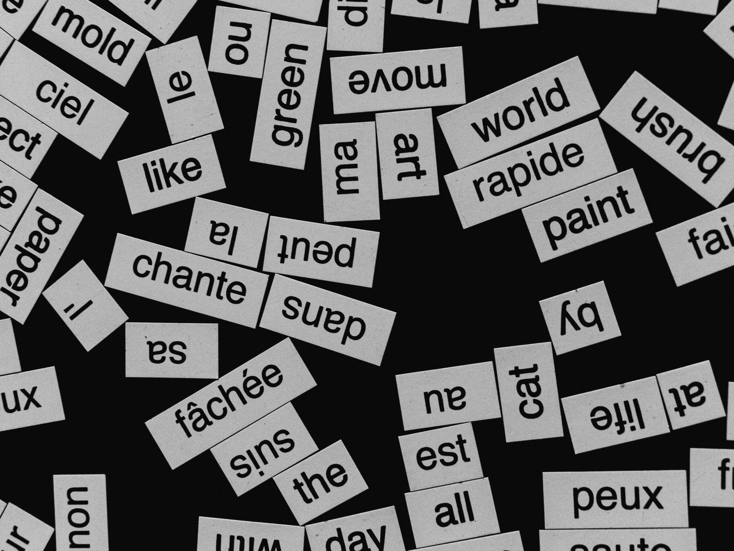 A large group of words on magnets at different angles